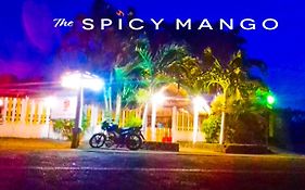 The Spicy Mango